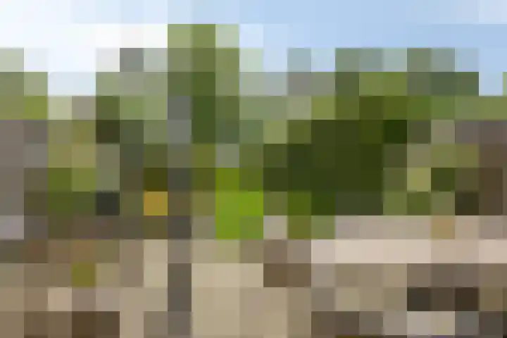van Mieroplaan 29 Heerhugowaard thumbnail 6