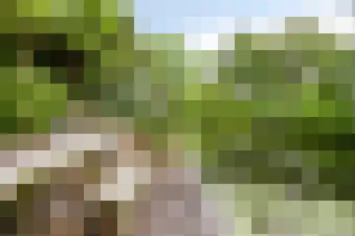 van Mieroplaan 29 Heerhugowaard thumbnail 60