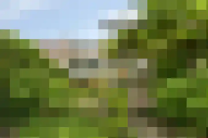 van Mieroplaan 29 Heerhugowaard thumbnail 61