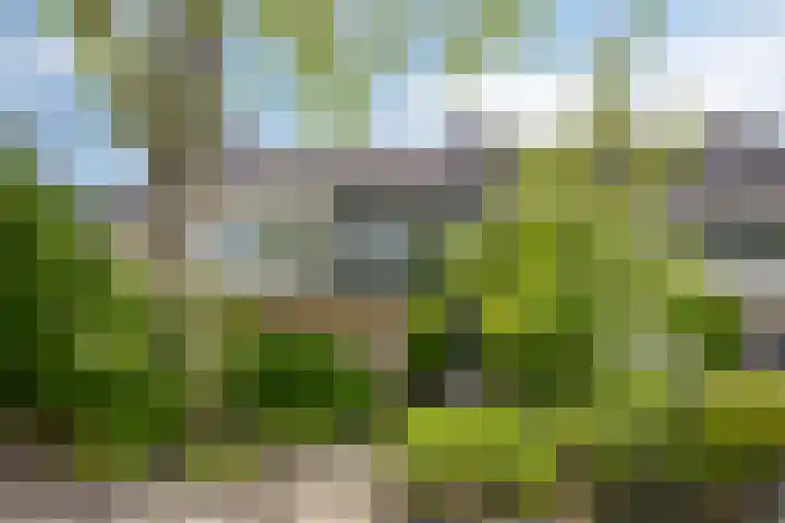 van Mieroplaan 29 Heerhugowaard thumbnail 65