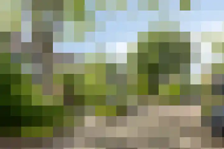van Mieroplaan 29 Heerhugowaard thumbnail 8