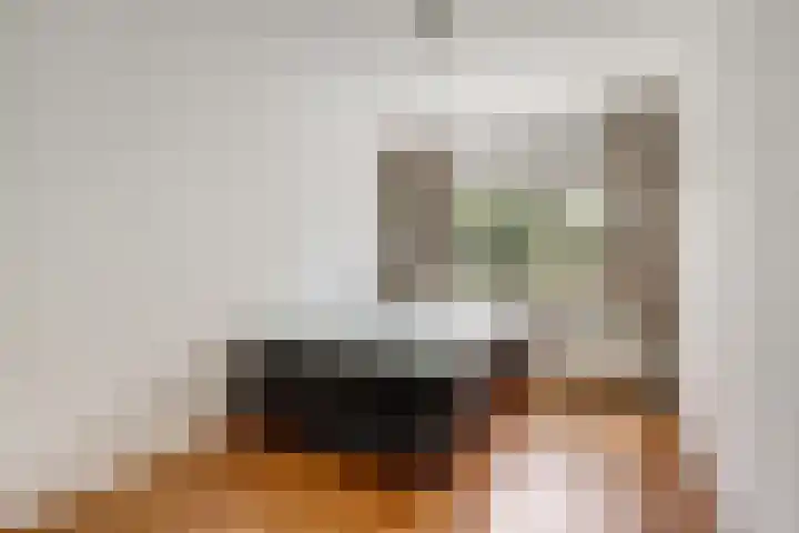 van Mieroplaan 33 Heerhugowaard thumbnail 17