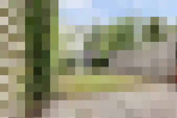 van Mieroplaan 33 Heerhugowaard thumbnail 26