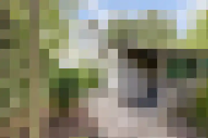 van Mieroplaan 33 Heerhugowaard thumbnail 27