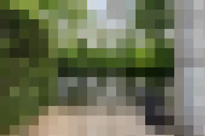 van Mieroplaan 33 Heerhugowaard thumbnail 28