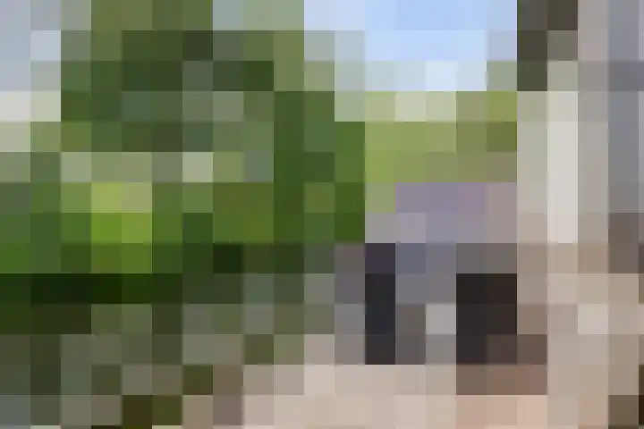 van Mieroplaan 33 Heerhugowaard thumbnail 29