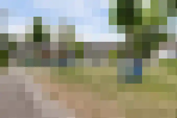 van Mieroplaan 33 Heerhugowaard thumbnail 30