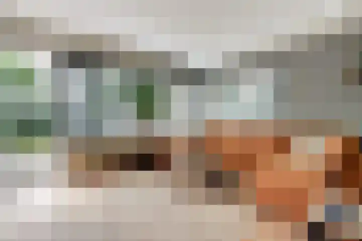 van Mieroplaan 33 Heerhugowaard thumbnail 6