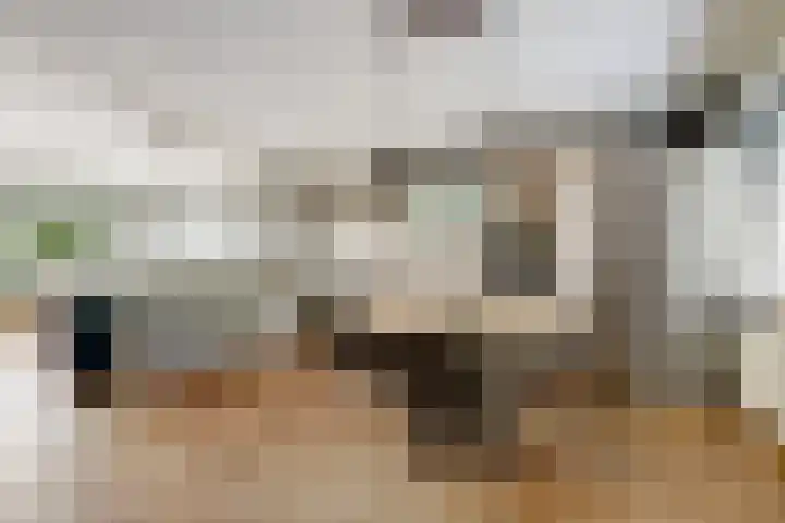 van Mieroplaan 33 Heerhugowaard thumbnail 9
