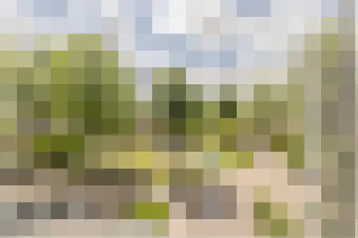 van Mieroplaan 47 Heerhugowaard thumbnail 24