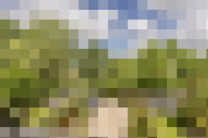 van Mieroplaan 47 Heerhugowaard thumbnail 30