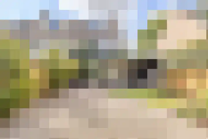 van Mieroplaan 47 Heerhugowaard thumbnail 32