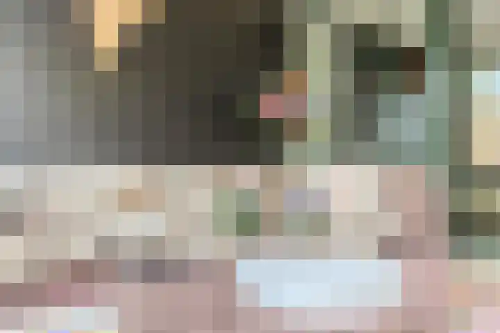 van Mieroplaan 47 Heerhugowaard thumbnail 34
