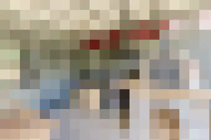 van Mieroplaan 47 Heerhugowaard thumbnail 35