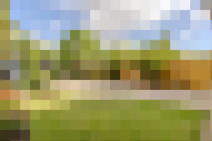 van Mieroplaan 47 Heerhugowaard thumbnail 39