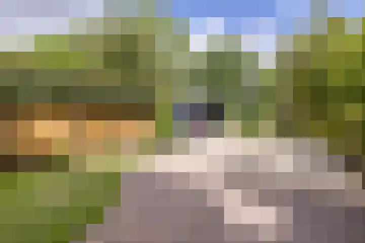 van Mieroplaan 47 Heerhugowaard thumbnail 40