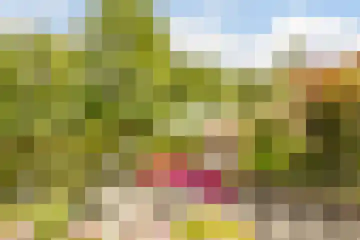 van Mieroplaan 47 Heerhugowaard thumbnail 42