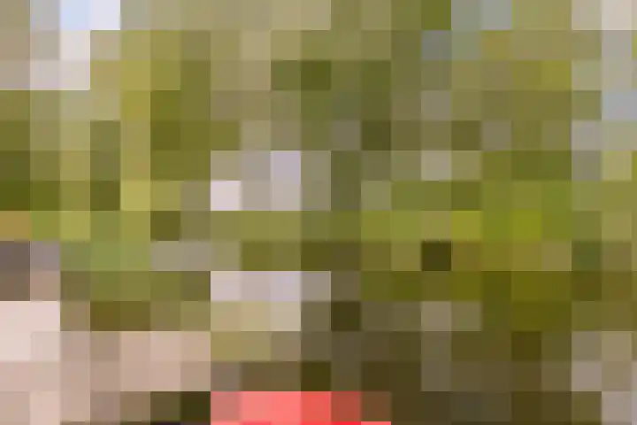 van Mieroplaan 47 Heerhugowaard thumbnail 45