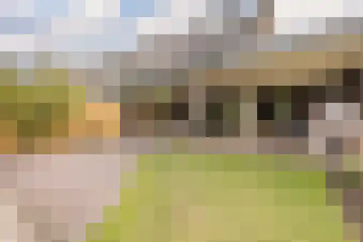 van Mieroplaan 47 Heerhugowaard thumbnail 48
