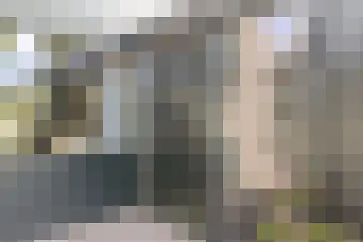 van Mieroplaan 47 Heerhugowaard thumbnail 49