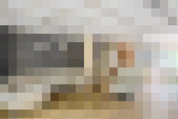 van Mieroplaan 47 Heerhugowaard thumbnail 5