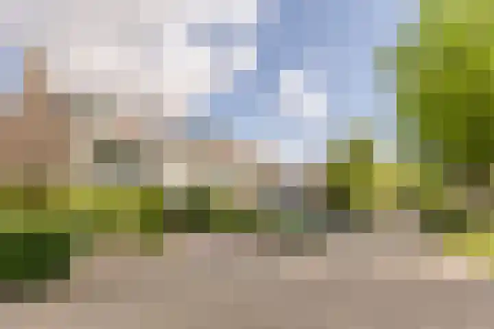 van Mieroplaan 47 Heerhugowaard thumbnail 53