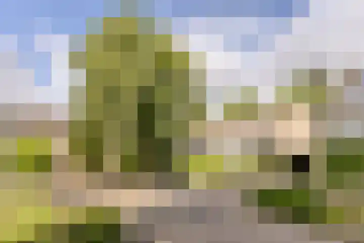 van Mieroplaan 47 Heerhugowaard thumbnail 55