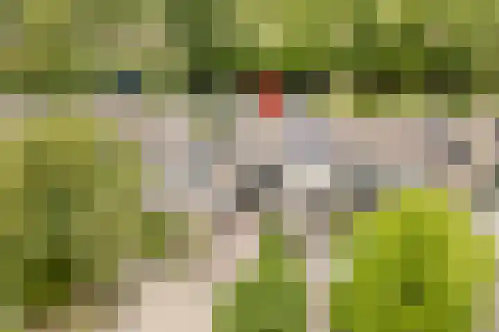 van Mieroplaan 47 Heerhugowaard thumbnail 56