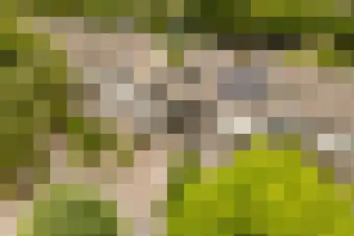 van Mieroplaan 47 Heerhugowaard thumbnail 58