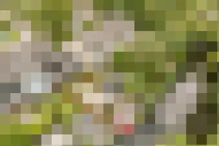 van Mieroplaan 47 Heerhugowaard thumbnail 59