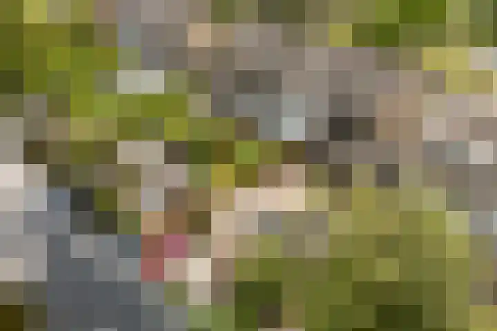 van Mieroplaan 47 Heerhugowaard thumbnail 61