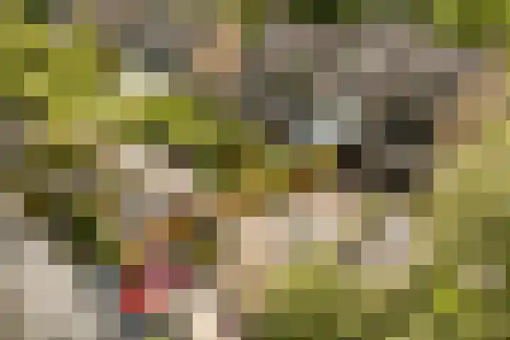 van Mieroplaan 47 Heerhugowaard thumbnail 62