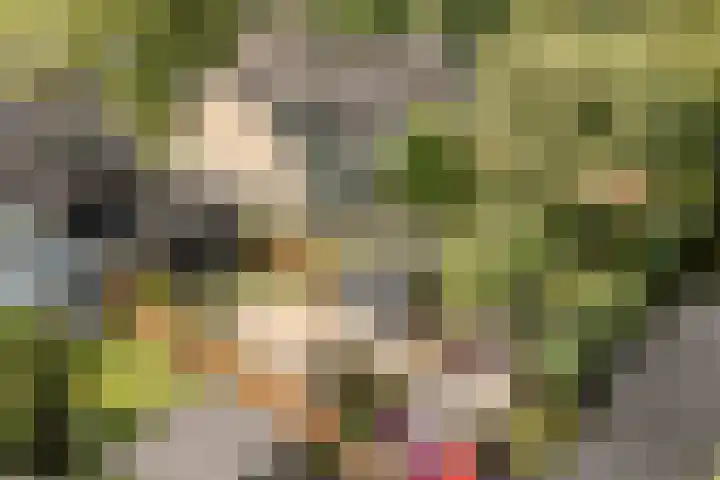 van Mieroplaan 47 Heerhugowaard thumbnail 63