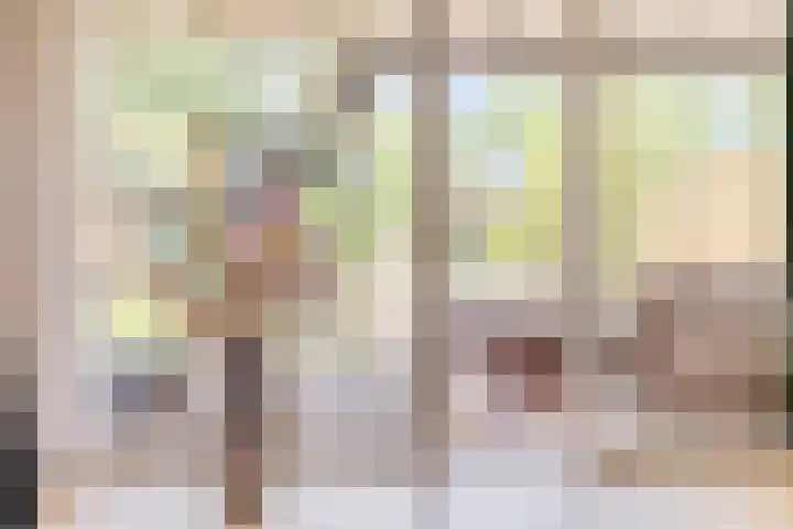 van Mieroplaan 47 Heerhugowaard thumbnail 8