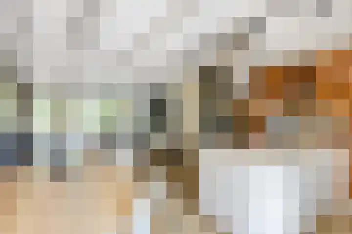 van Mieroplaan 47 Heerhugowaard thumbnail 9