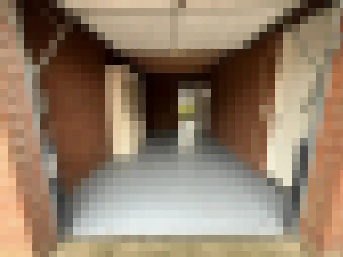 Van Mieropstraat 23 Lopik thumbnail 10
