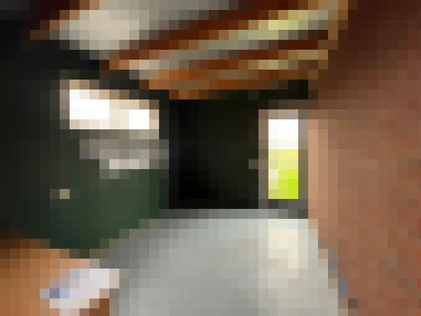 Van Mieropstraat 23 Lopik thumbnail 11