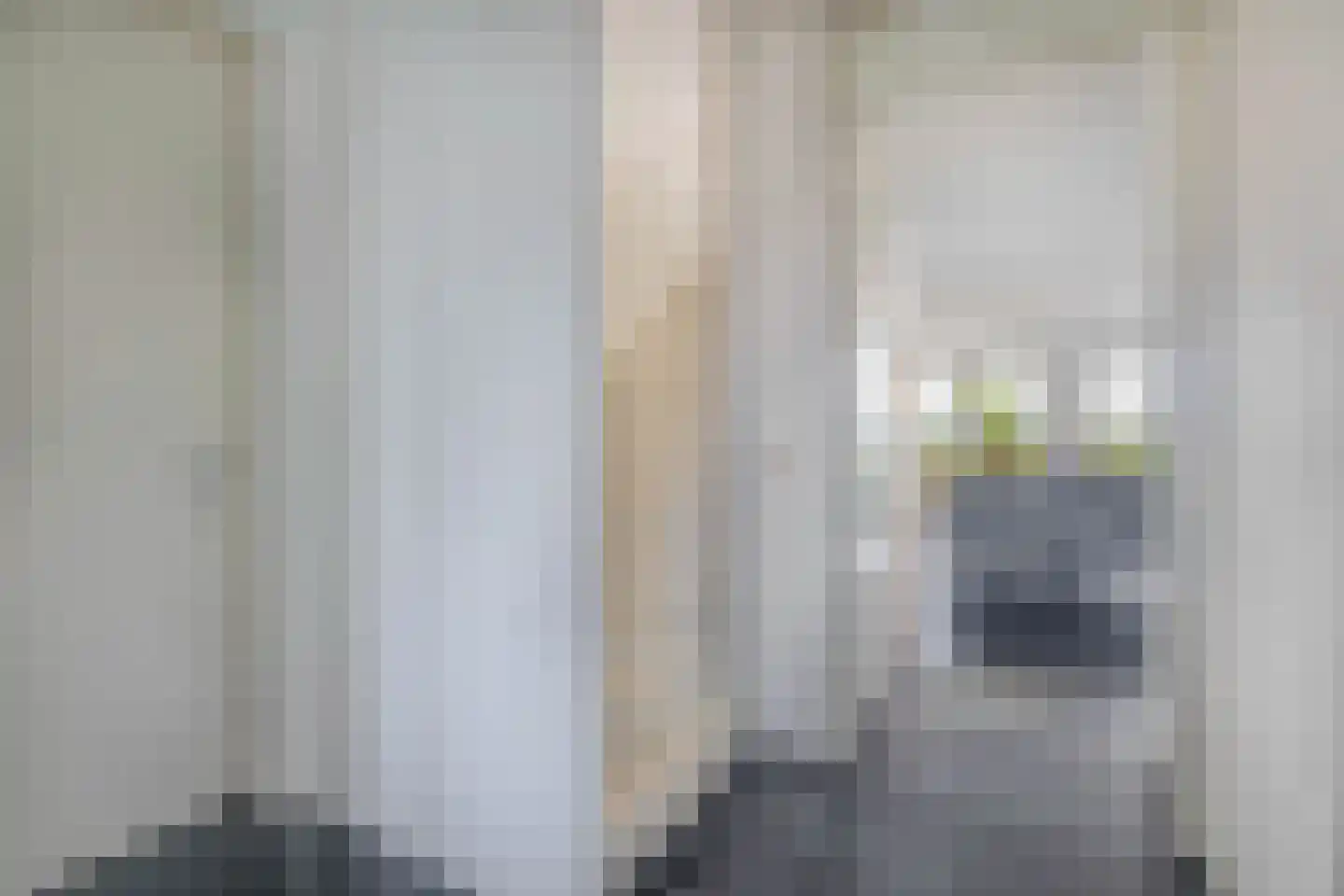 Van Mieropstraat 23 Lopik thumbnail 15