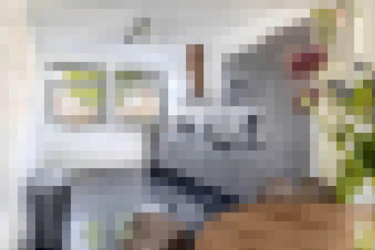 Van Mieropstraat 23 Lopik thumbnail 18
