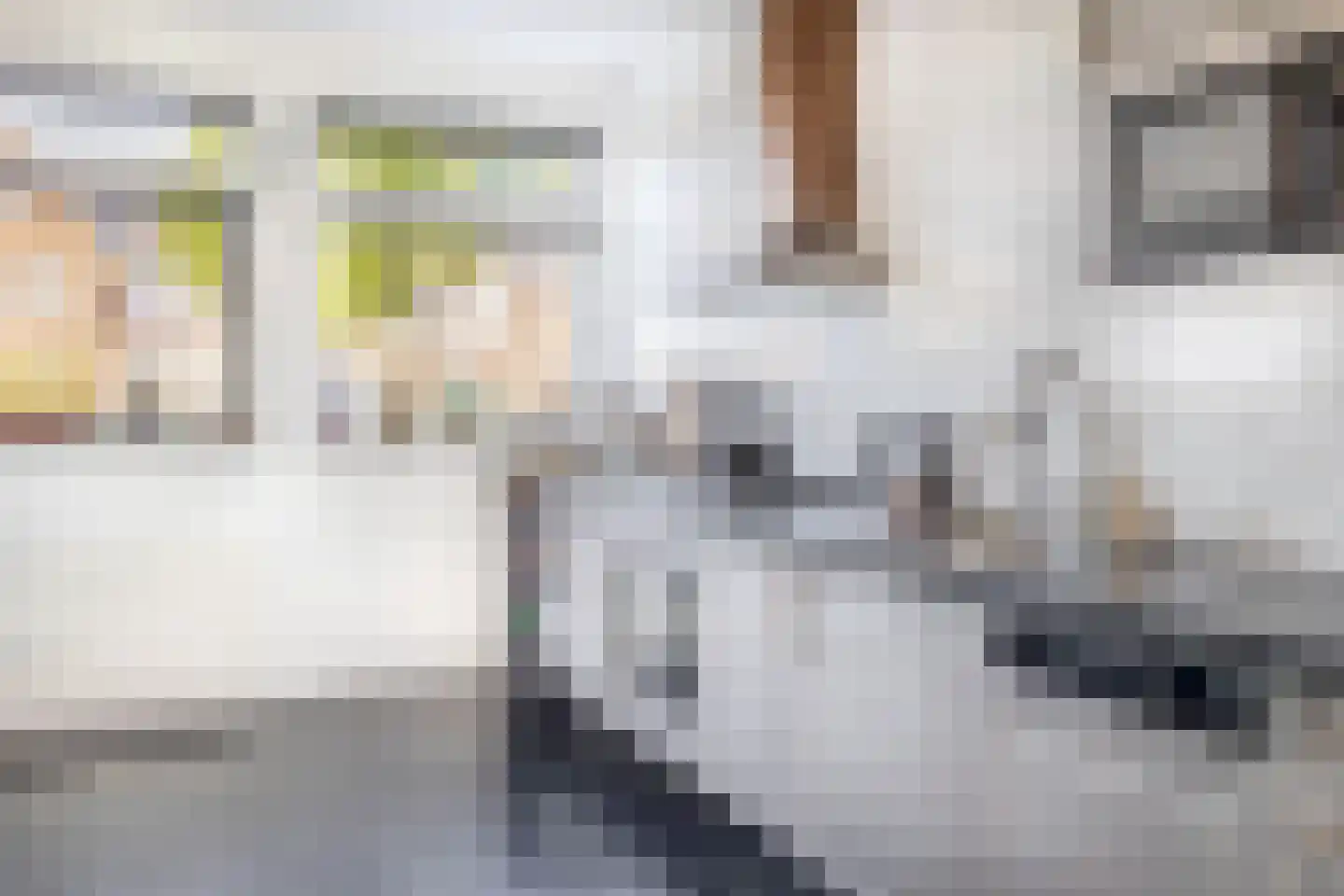 Van Mieropstraat 23 Lopik thumbnail 19