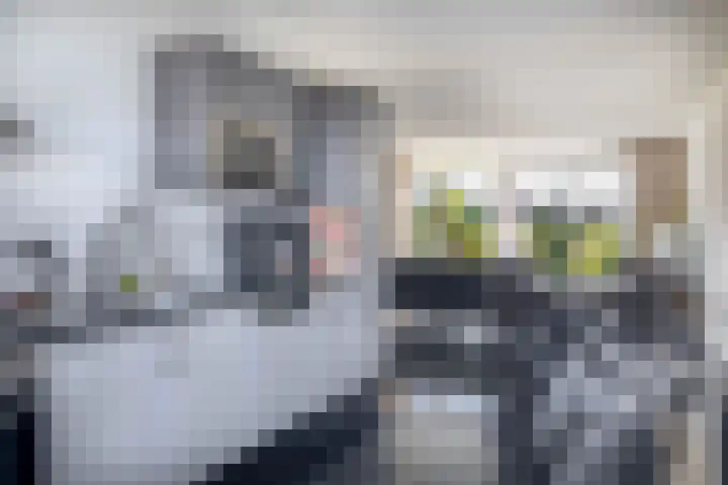 Van Mieropstraat 23 Lopik thumbnail 20