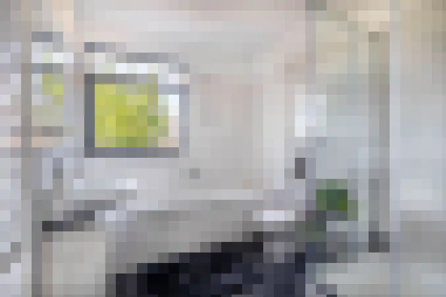Van Mieropstraat 23 Lopik thumbnail 25