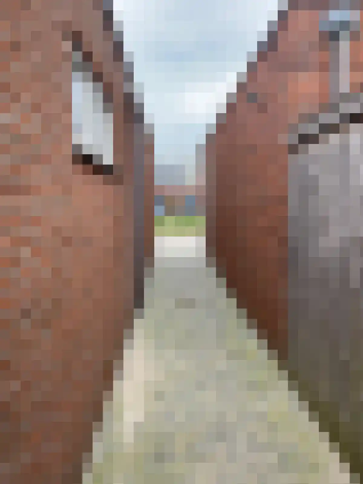 Van Mieropstraat 23 Lopik thumbnail 38