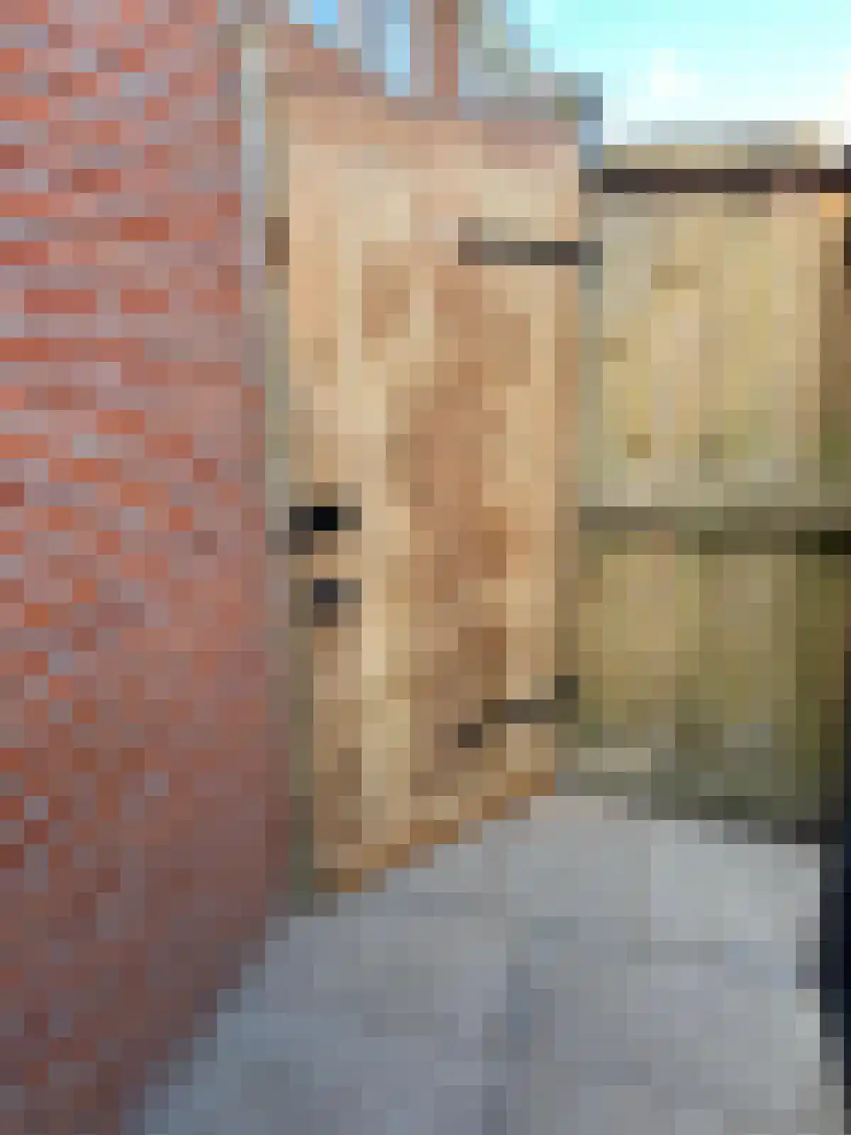 Van Mieropstraat 23 Lopik thumbnail 39