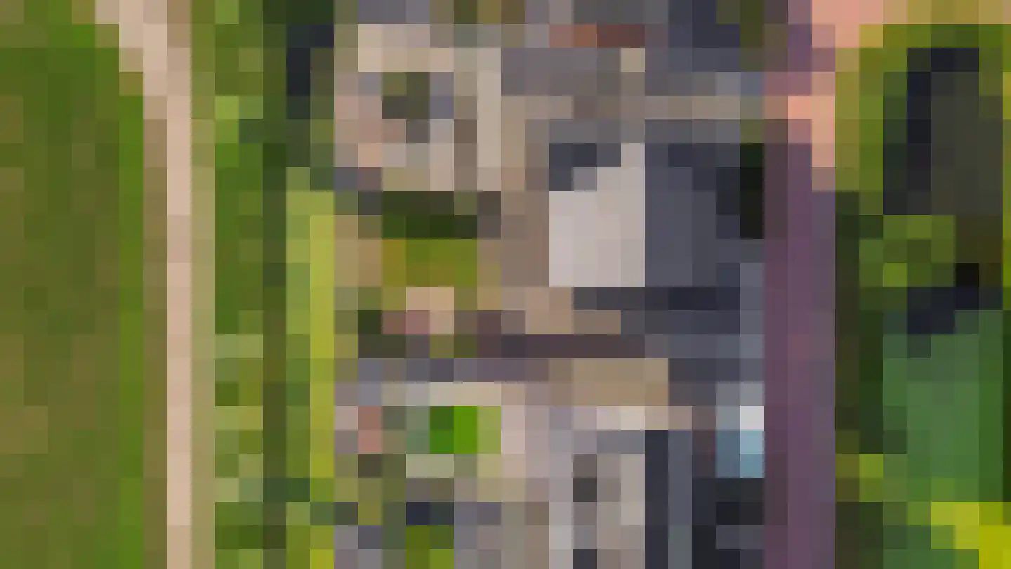 Van Mieropstraat 23 Lopik thumbnail 41