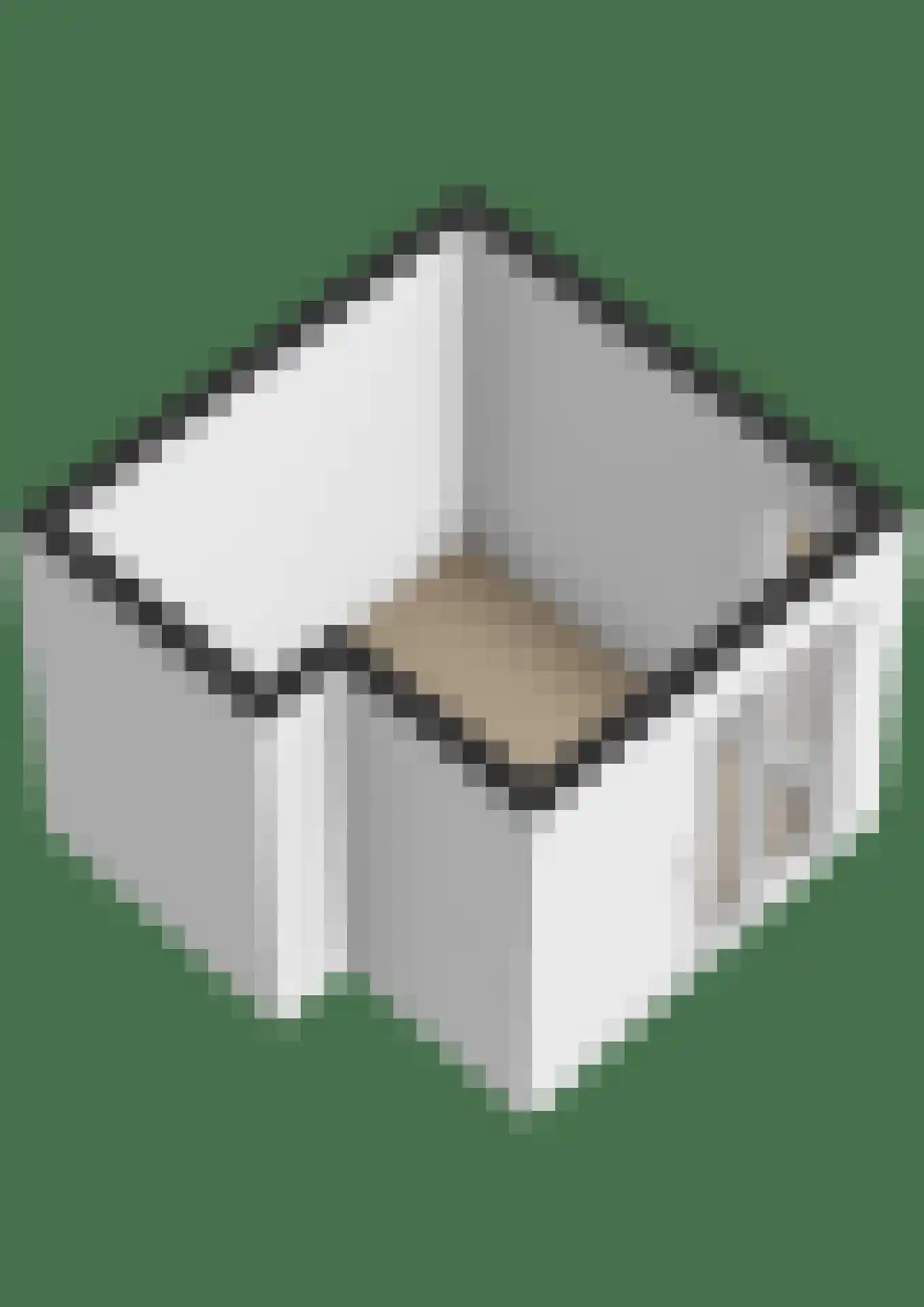 Van Mieropstraat 23 Lopik thumbnail 52