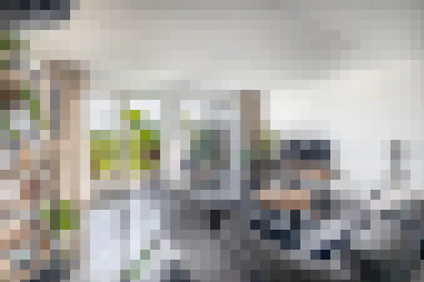 Van Mieropstraat 23 Lopik thumbnail 6
