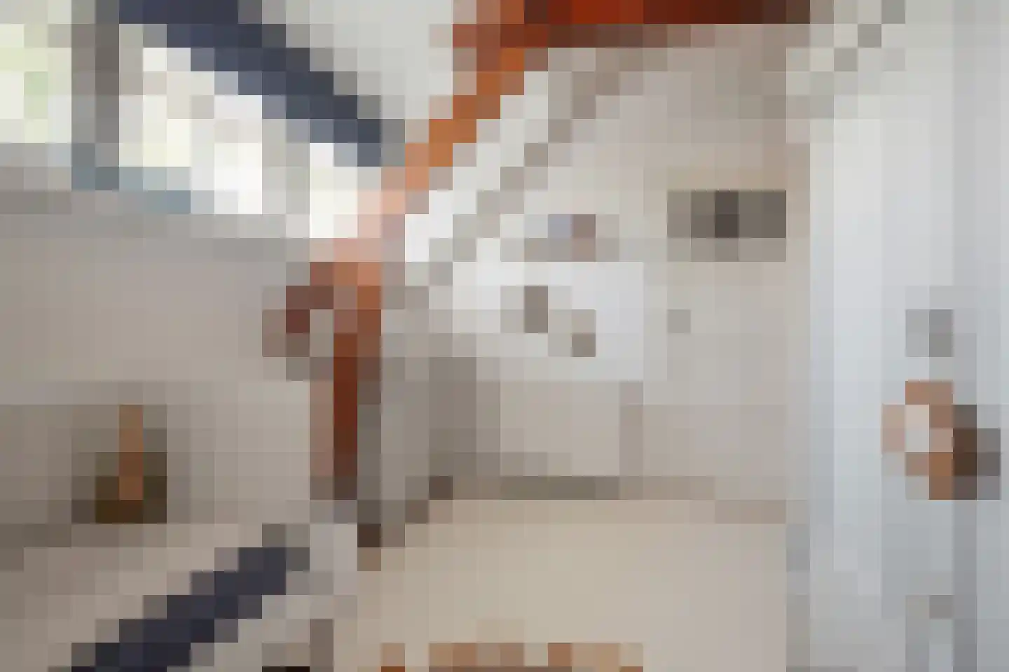 Van Miertstraat 17 Vught thumbnail 36