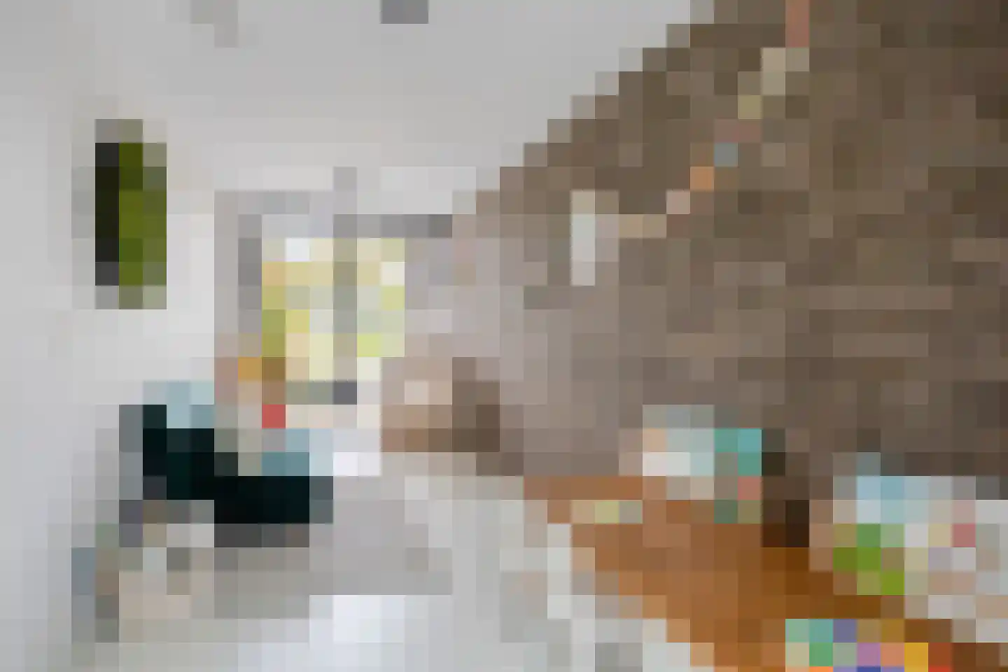Van Miertstraat 25 Vught thumbnail 14