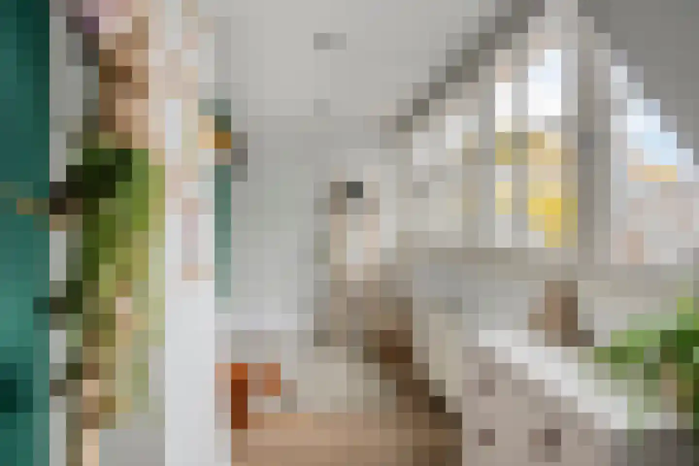 Van Miertstraat 25 Vught thumbnail 27